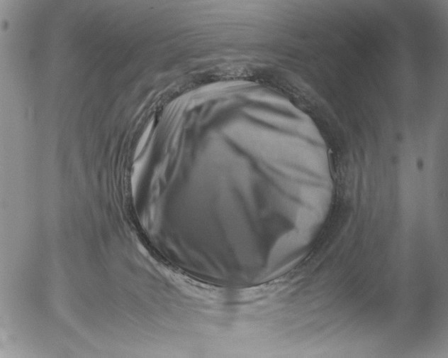 X0000053050035200508011859