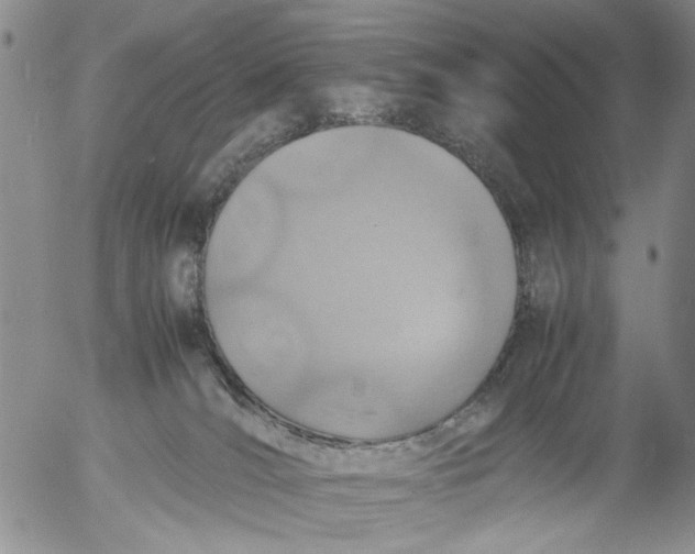 X0000053050036200508011859