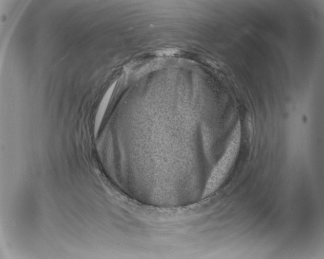 X0000053050037200508011859