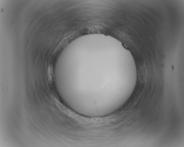 X0000053050038200508011859