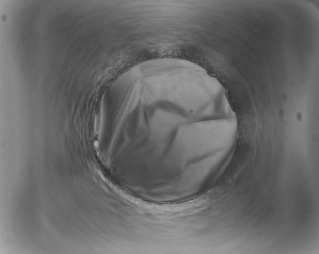 X0000053050039200508011859