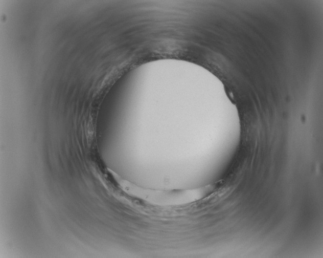 X0000053050040200508011859