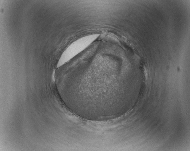 X0000053050041200508011859