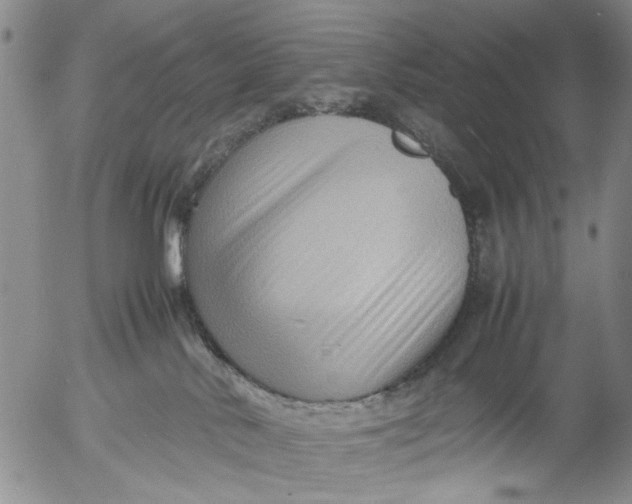 X0000053050042200508011859