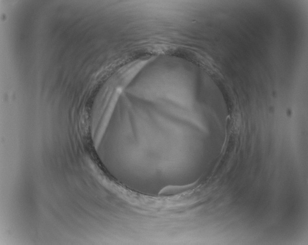 X0000053050043200508011859