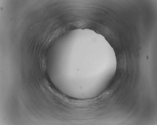 X0000053050044200508011859