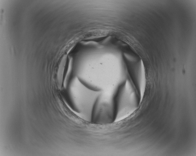 X0000053050045200508011859