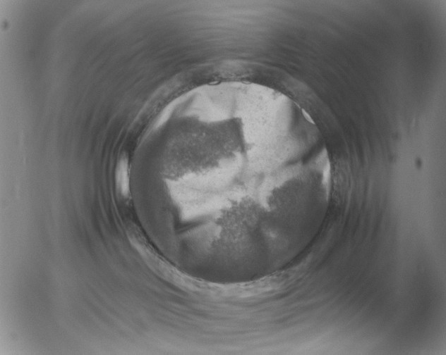 X0000053050046200508011859