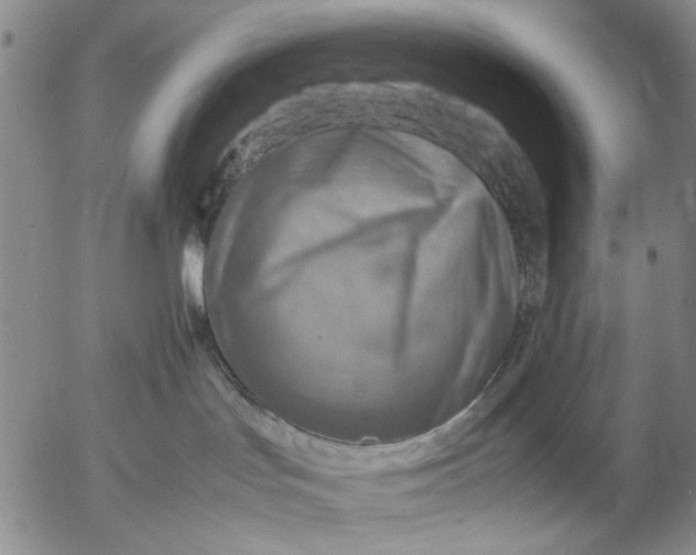 X0000053050047200508011859