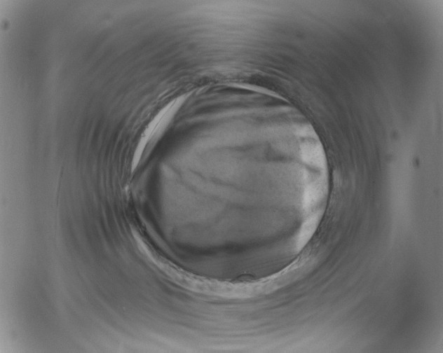 X0000053050048200508011859