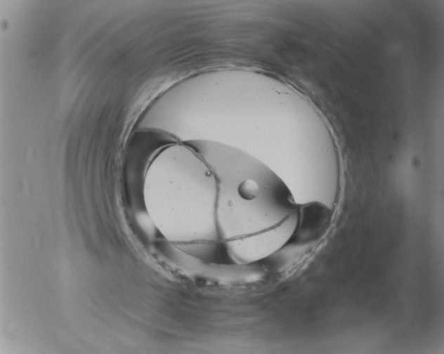 X0000053050049200508011858