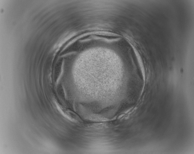 X0000053050050200508011858