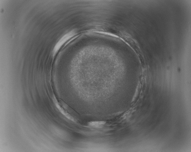 X0000053050051200508011858