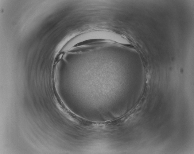 X0000053050052200508011858