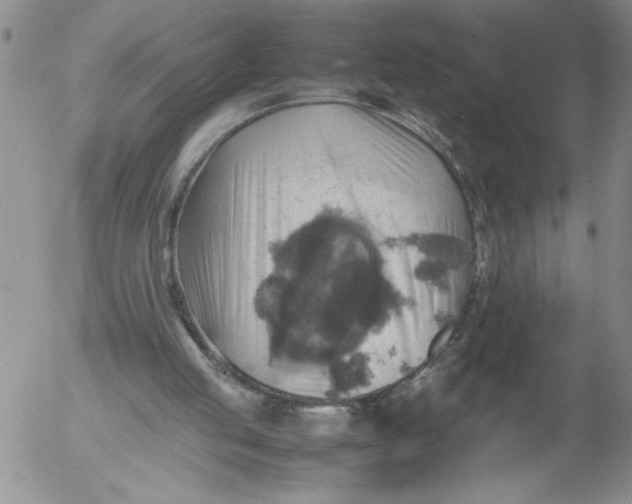 X0000053050053200508011858