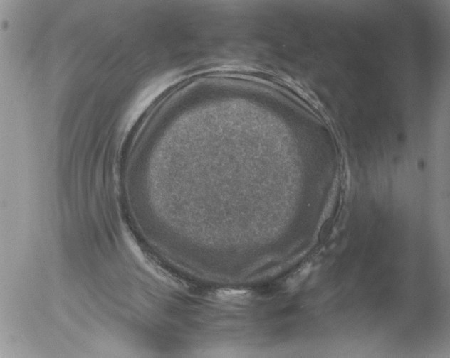 X0000053050055200508011858