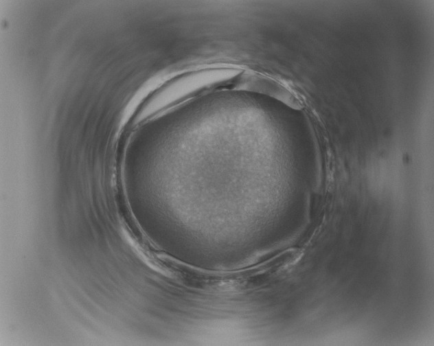 X0000053050056200508011858