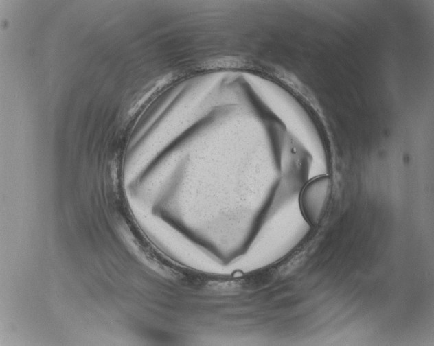 X0000053050057200508011858