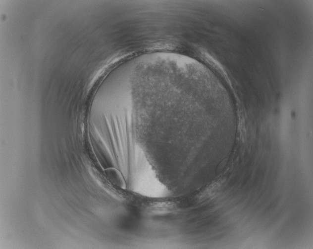 X0000053050059200508011858