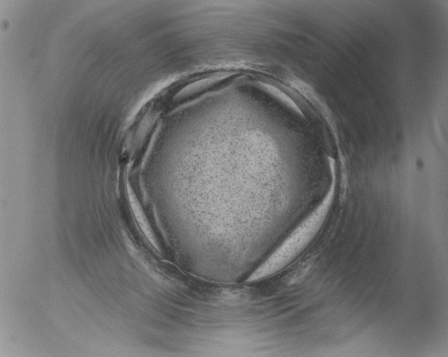 X0000053050060200508011858