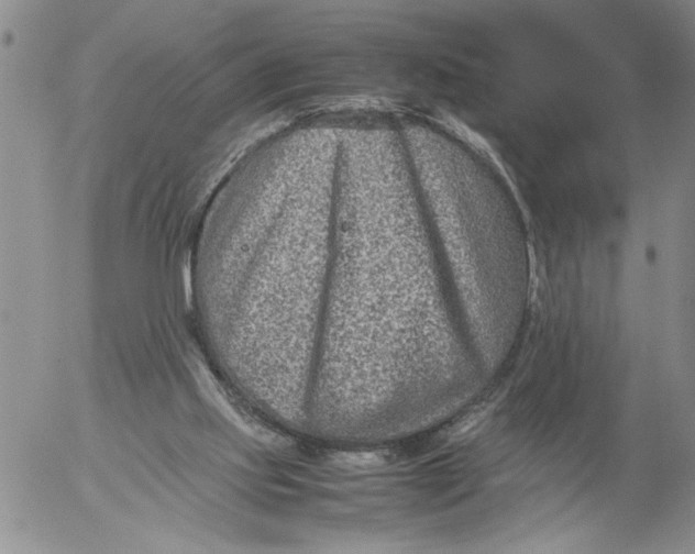 X0000053050061200508011858