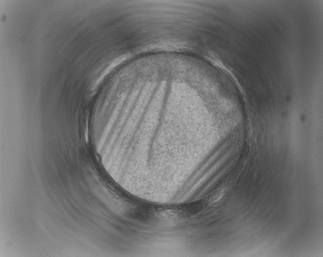 X0000053050062200508011858