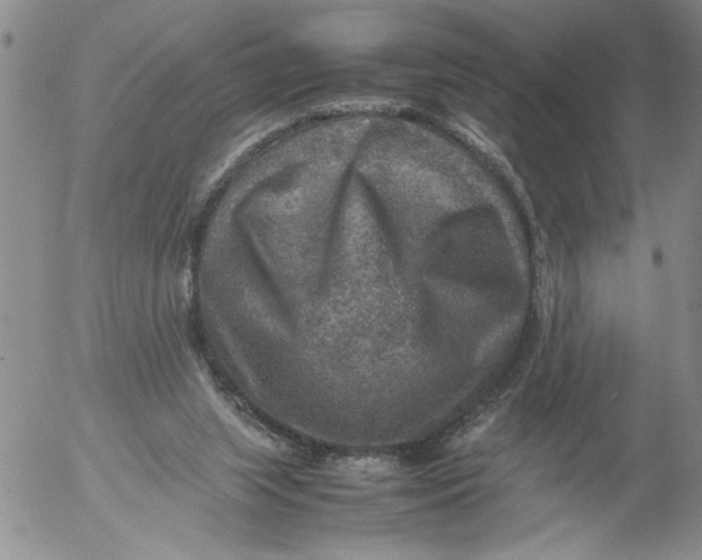 X0000053050063200508011858