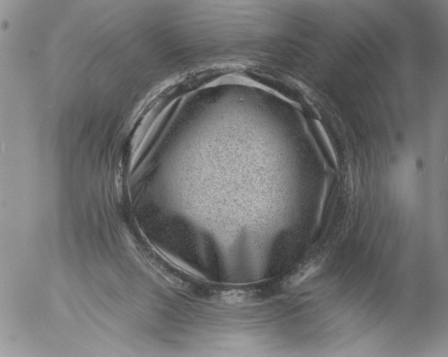 X0000053050064200508011858