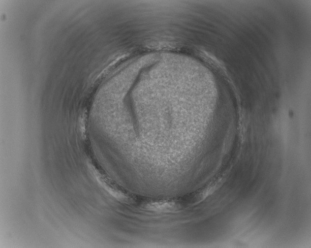 X0000053050065200508011858