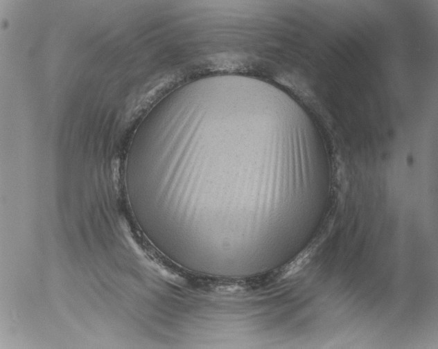 X0000053050066200508011859