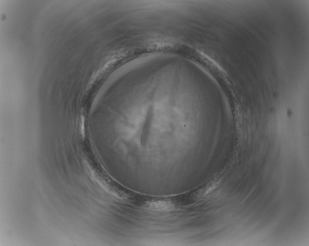 X0000053050067200508011859