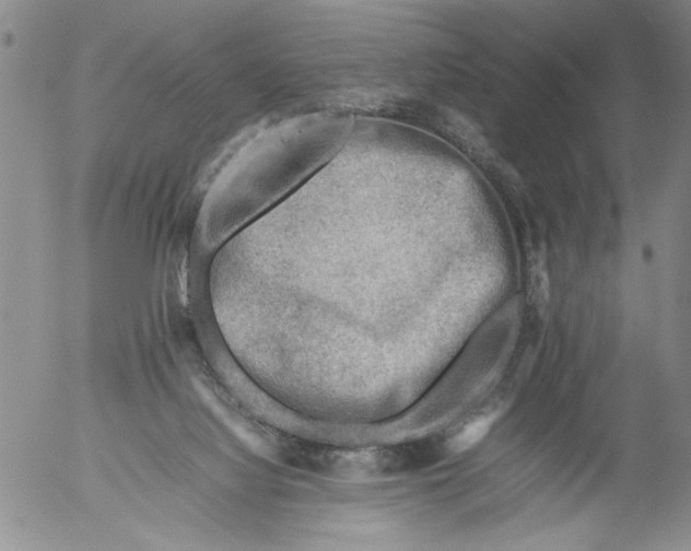 X0000053050068200508011859