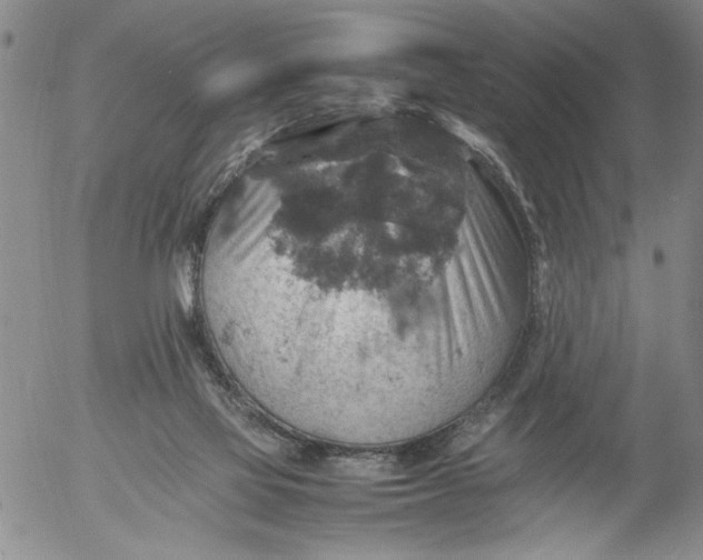 X0000053050069200508011859