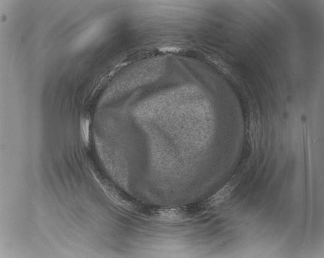 X0000053050070200508011859