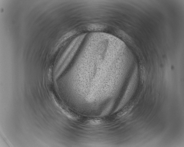 X0000053050071200508011859