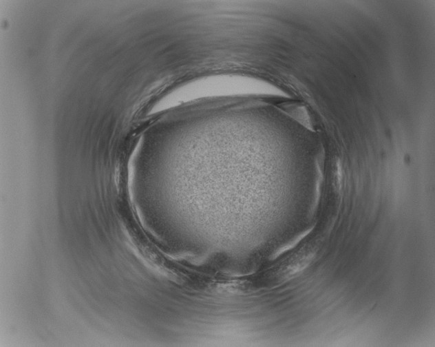 X0000053050072200508011859