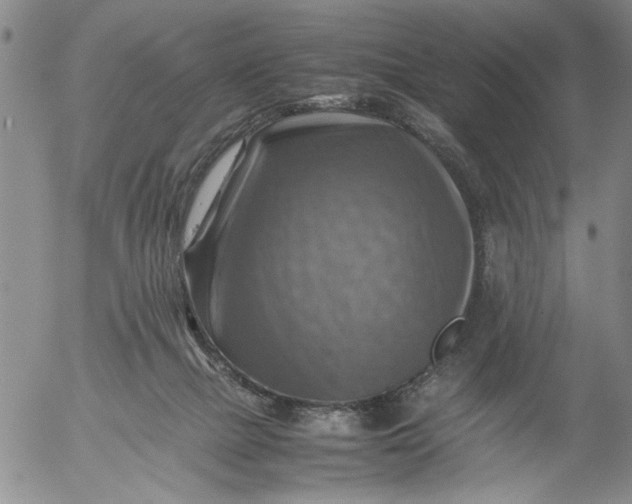 X0000053050073200508011859