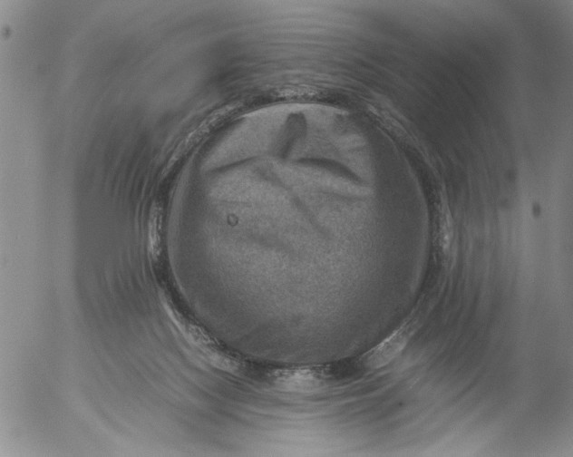 X0000053050074200508011859