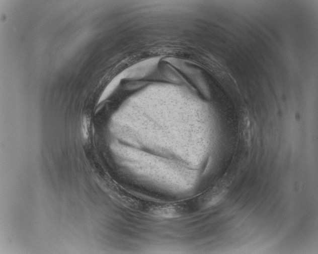 X0000053050075200508011859