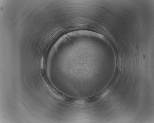 X0000053050076200508011859