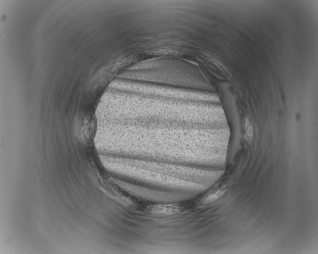 X0000053050077200508011859