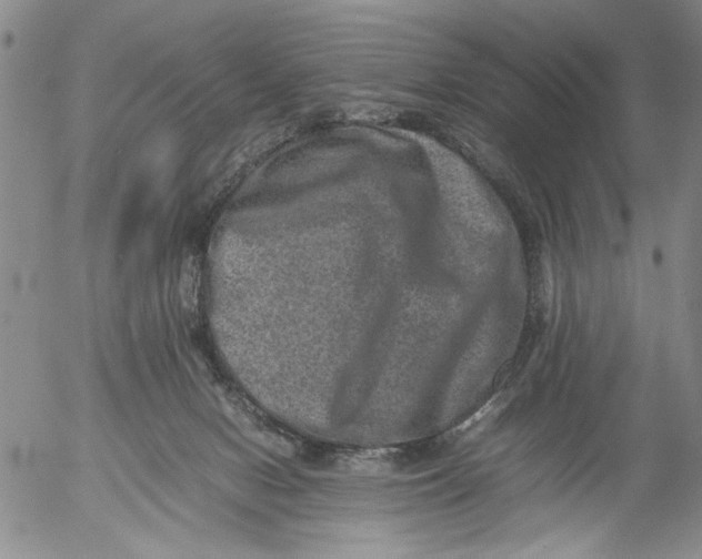 X0000053050078200508011859