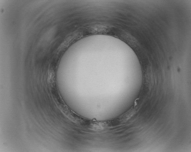 X0000053050079200508011859