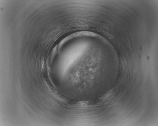 X0000053050080200508011859