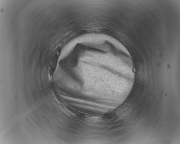 X0000053050081200508011859