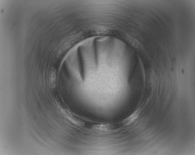 X0000053050082200508011859