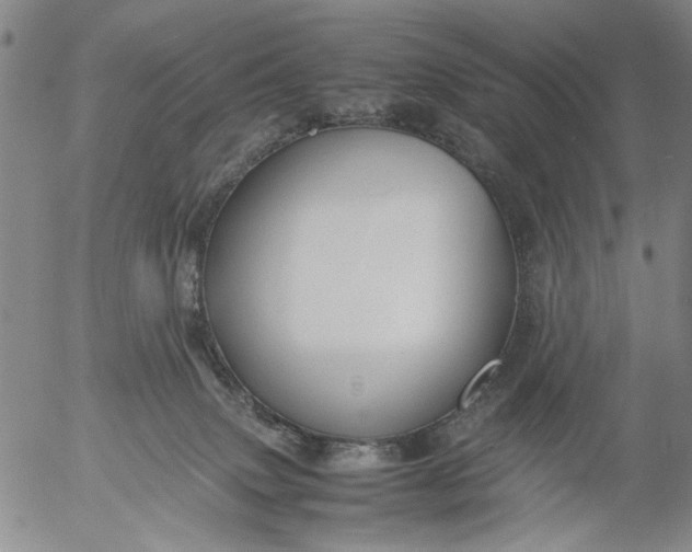 X0000053050083200508011859