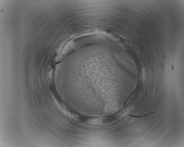 X0000053050084200508011859