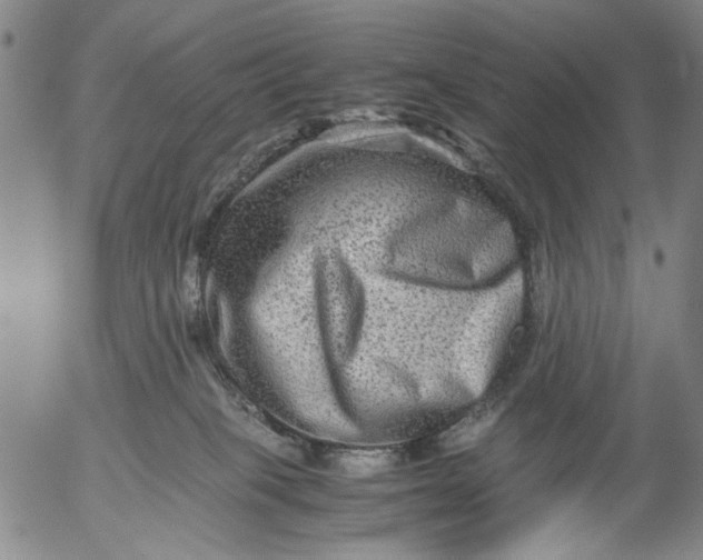 X0000053050085200508011859