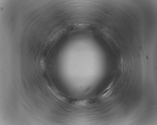 X0000053050086200508011859